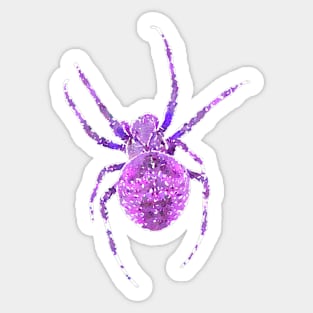 Purple Spider Orb-Weaver Watercolor Style Sticker